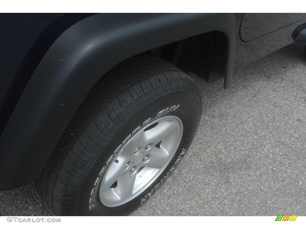 2003 Wrangler X 4x4 - Patriot Blue / Dark Slate Gray photo #9
