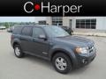 Black Pearl Slate Metallic - Escape XLT V6 4WD Photo No. 1