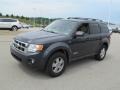 Black Pearl Slate Metallic - Escape XLT V6 4WD Photo No. 6