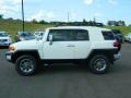 Iceberg White - FJ Cruiser 4WD Photo No. 6