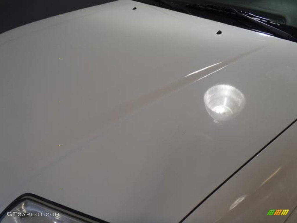 2004 4Runner SR5 - Natural White / Taupe photo #20