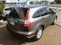 2009 Urban Titanium Metallic Honda CR-V EX 4WD  photo #7