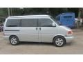 Reflex Silver Metallic - EuroVan MV Photo No. 14