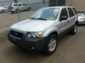 2005 Silver Metallic Ford Escape Hybrid 4WD  photo #3