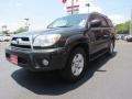 Shadow Mica - 4Runner SR5 Photo No. 3
