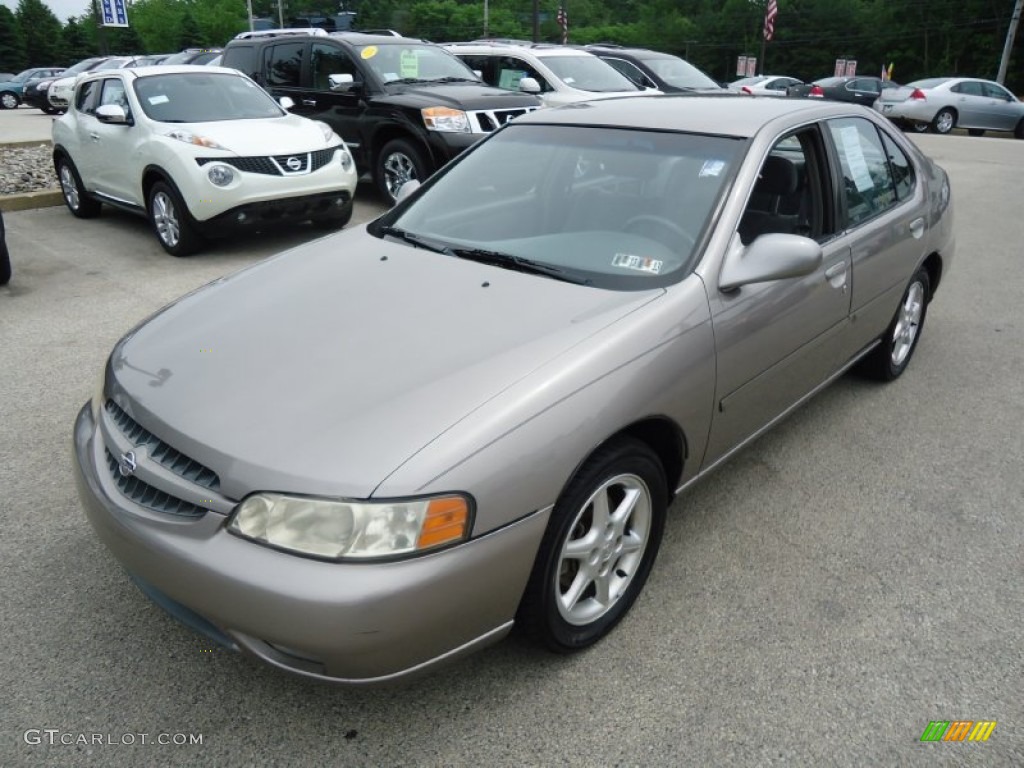 2001 Altima SE - Titanium Frost Pearl / Dusk photo #2