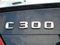 2010 Mercedes-Benz C 300 Sport Badge and Logo Photo
