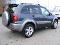 Flint Mica - RAV4  Photo No. 3