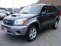 Flint Mica - RAV4  Photo No. 7