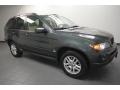 Highland Green Metallic - X5 3.0i Photo No. 1