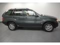 Highland Green Metallic - X5 3.0i Photo No. 7
