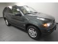 Highland Green Metallic - X5 3.0i Photo No. 8