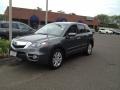 Polished Metal Metallic - RDX SH-AWD Technology Photo No. 1