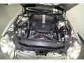 5.0 Liter SOHC 24-Valve V8 Engine for 2005 Mercedes-Benz SL 500 Roadster #65873214