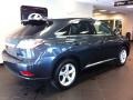 2010 Smokey Granite Mica Lexus RX 350 AWD  photo #2