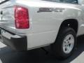 Bright Silver Metallic - Dakota SXT Crew Cab Photo No. 10