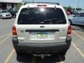 2005 Gold Ash Metallic Ford Escape XLT V6 4WD  photo #23