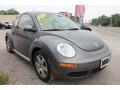 Platinum Grey - New Beetle 2.5 Coupe Photo No. 9