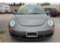 Platinum Grey - New Beetle 2.5 Coupe Photo No. 10