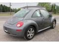 Platinum Grey - New Beetle 2.5 Coupe Photo No. 19