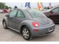 Platinum Grey - New Beetle 2.5 Coupe Photo No. 20