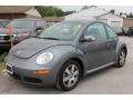 Platinum Grey - New Beetle 2.5 Coupe Photo No. 24