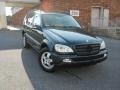 2002 Capri Blue Metallic Mercedes-Benz ML 320 4Matic  photo #25