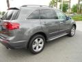 Polished Metal Metallic - MDX Technology Photo No. 7