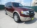 Royal Red Metallic 2010 Ford Expedition Eddie Bauer