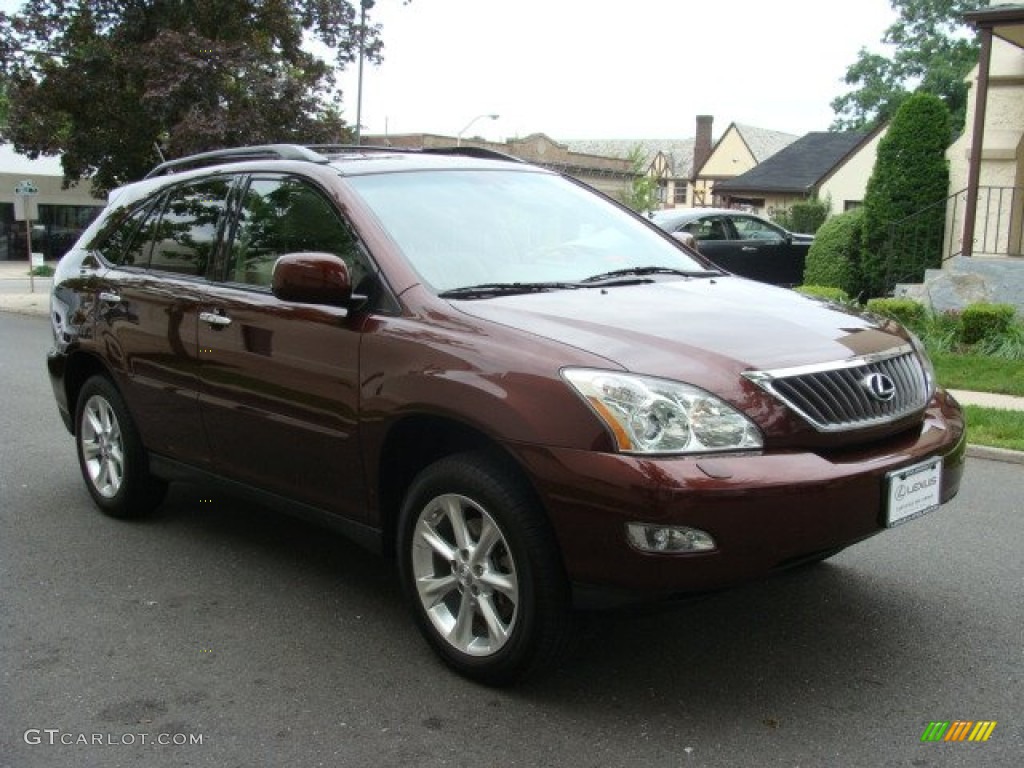 2009 RX 350 AWD - Brandywine Mica / Parchment photo #3