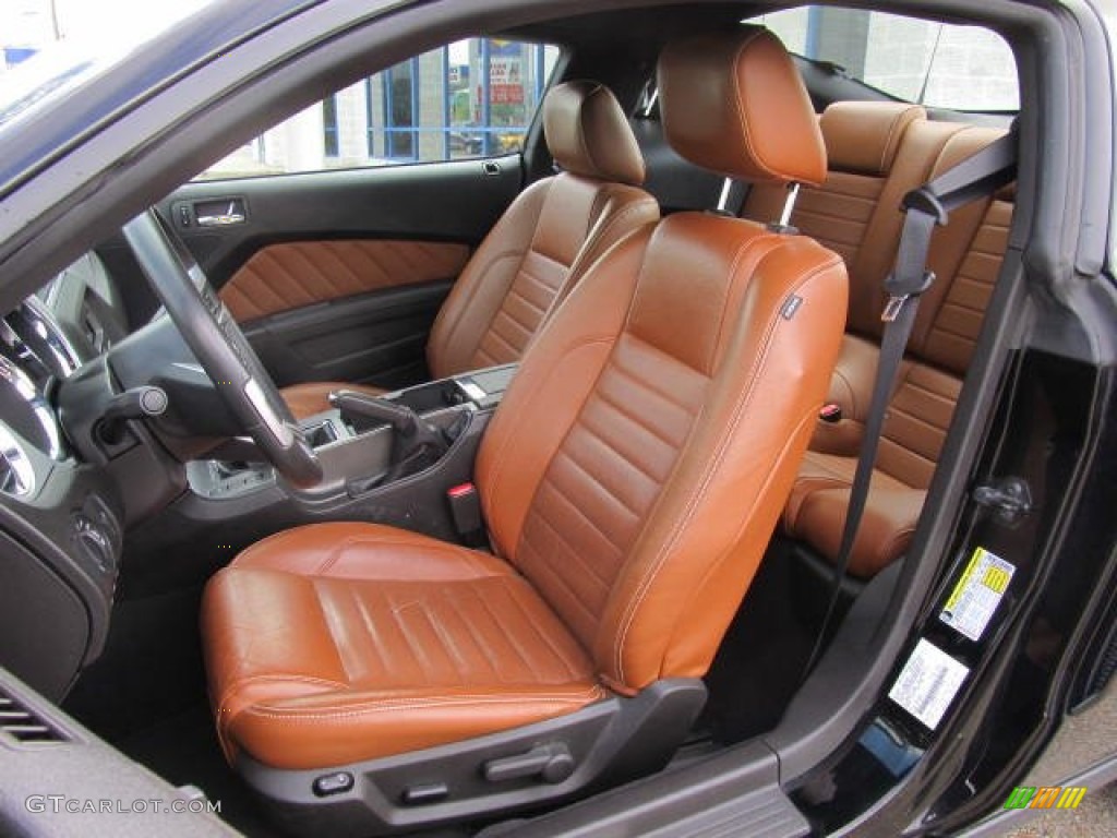 Saddle Interior 2010 Ford Mustang Gt Premium Coupe Photo