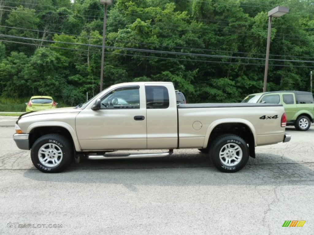 2004 Dakota SLT Club Cab 4x4 - Light Almond Pearl Metallic / Dark Slate Gray photo #5