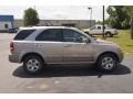 Sand Beige Metallic - Sorento EX Photo No. 4