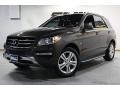 Dakota Brown Metallic - ML 350 4Matic Photo No. 1