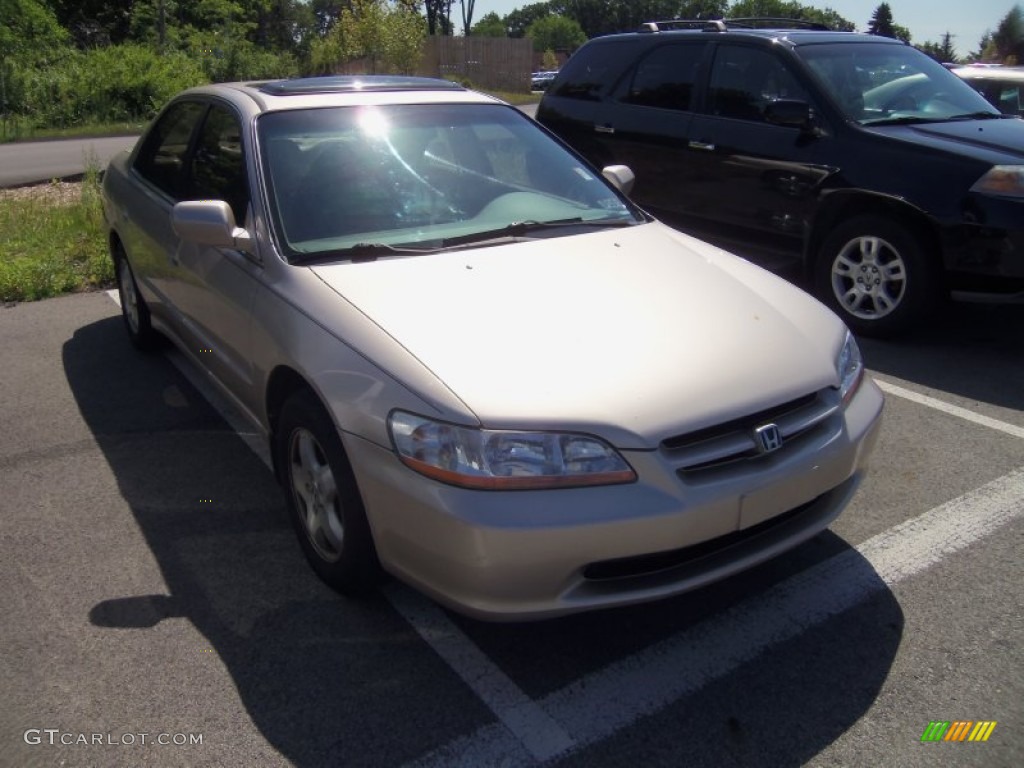 Naples Gold Metallic Honda Accord