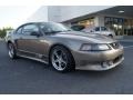Mineral Grey Metallic 2002 Ford Mustang Saleen S281 Supercharged Coupe