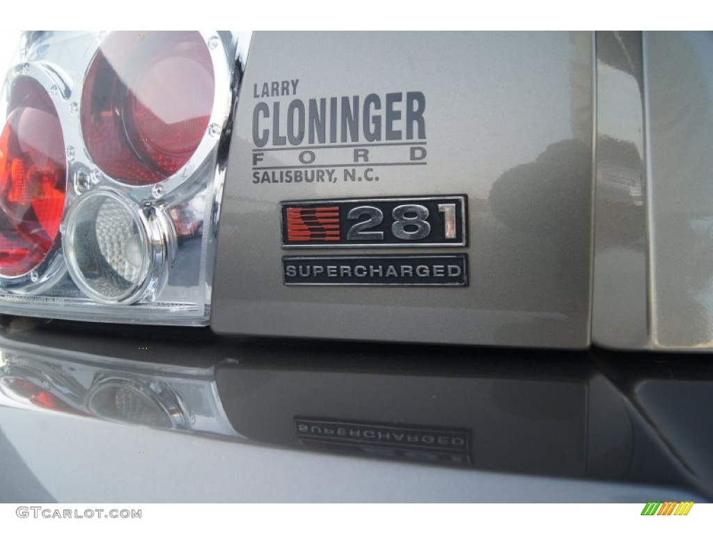 2002 Mustang Saleen S281 Supercharged Coupe - Mineral Grey Metallic / Black Saleen Recaro photo #19