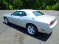 Bright Silver Metallic - Challenger SXT Photo No. 5