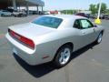 Bright Silver Metallic - Challenger SXT Photo No. 6