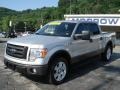 2009 Brilliant Silver Metallic Ford F150 FX4 SuperCrew 4x4  photo #3