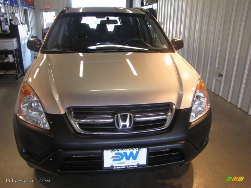 2004 CR-V LX 4WD - Satin Silver Metallic / Black photo #5