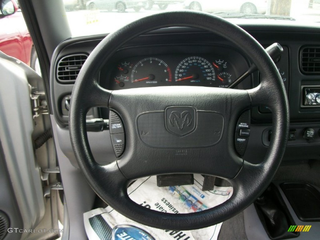 1999 Durango SLT 4x4 - Bright Platinum Metallic / Agate photo #5