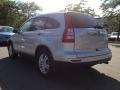 2010 Alabaster Silver Metallic Honda CR-V EX-L AWD  photo #11