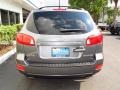 2009 Steel Gray Hyundai Santa Fe SE  photo #4