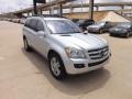 Iridium Silver Metallic - GL 450 Photo No. 7
