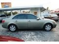 Natural Khaki Green - Sonata GLS V6 Photo No. 3
