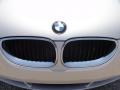 Titanium Silver Metallic - 5 Series 530xi Sedan Photo No. 37
