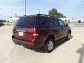 2009 Dark Copper Metallic Ford Explorer XLT 4x4  photo #3