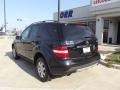 Black - ML 350 4Matic Photo No. 4