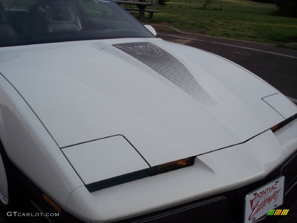1983 Firebird Trans Am 25th Anniversary Daytona 500 Pace Car Coupe - White / Gray photo #14
